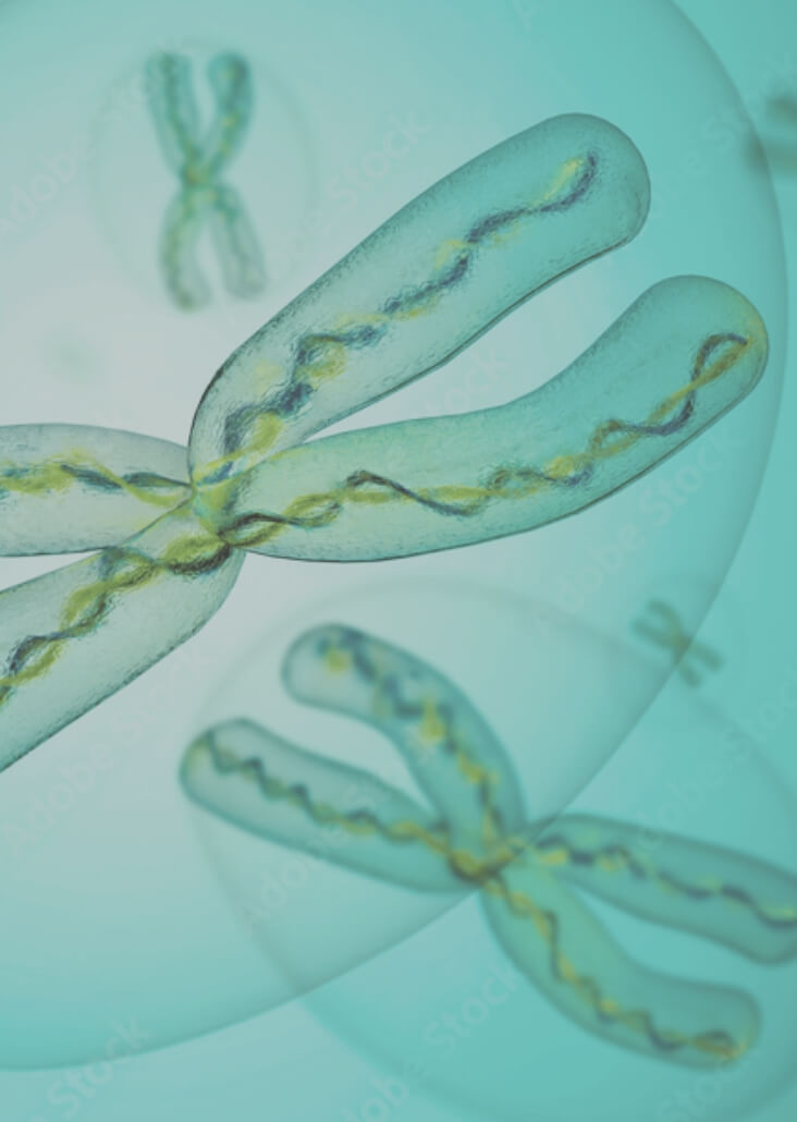 PGT-M Preimplantation Genetic Testing for Monogenic Disorders