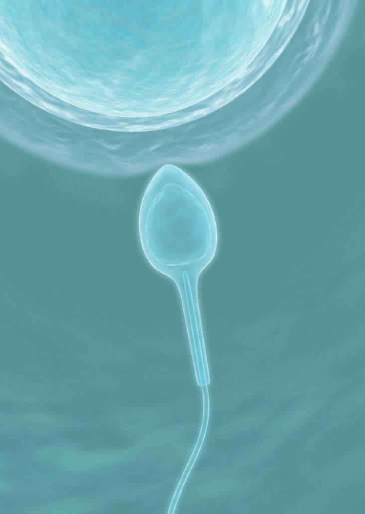 Advanced Analysis of Sperm and Semen