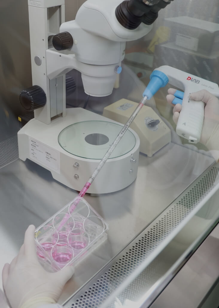 Embryonic Stem Cell Research