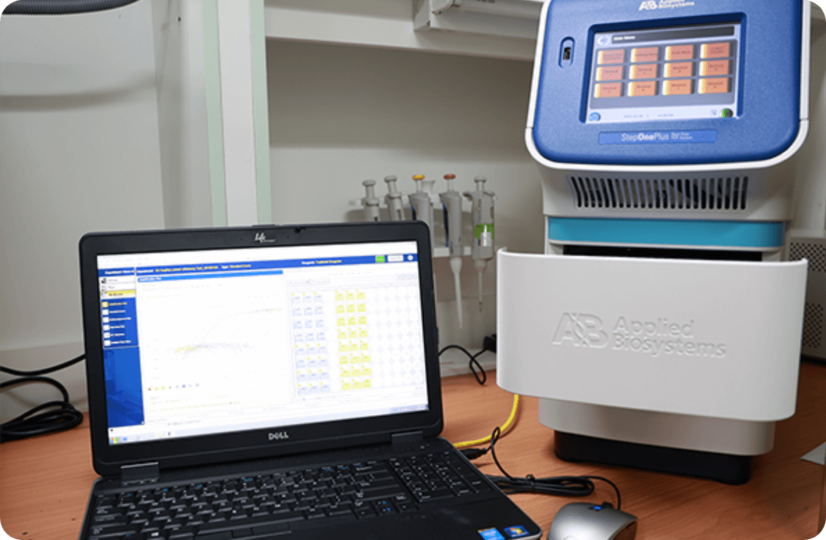 Real-time Quantitative Polymerase Chain Reaction(PCR) instrument