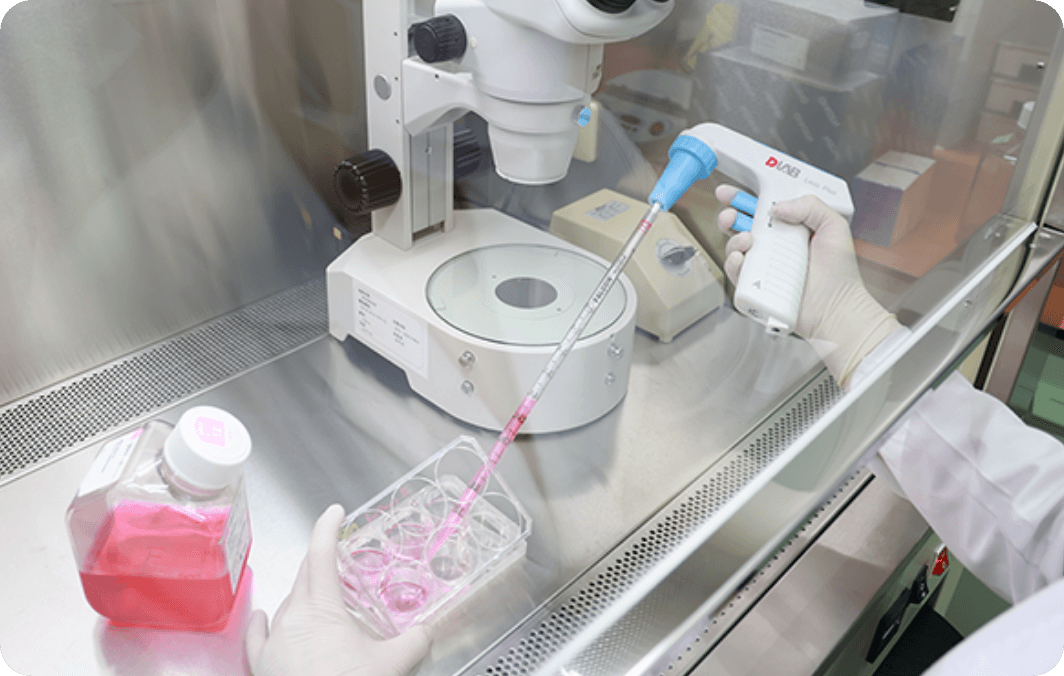 Stem Cell Cultivation