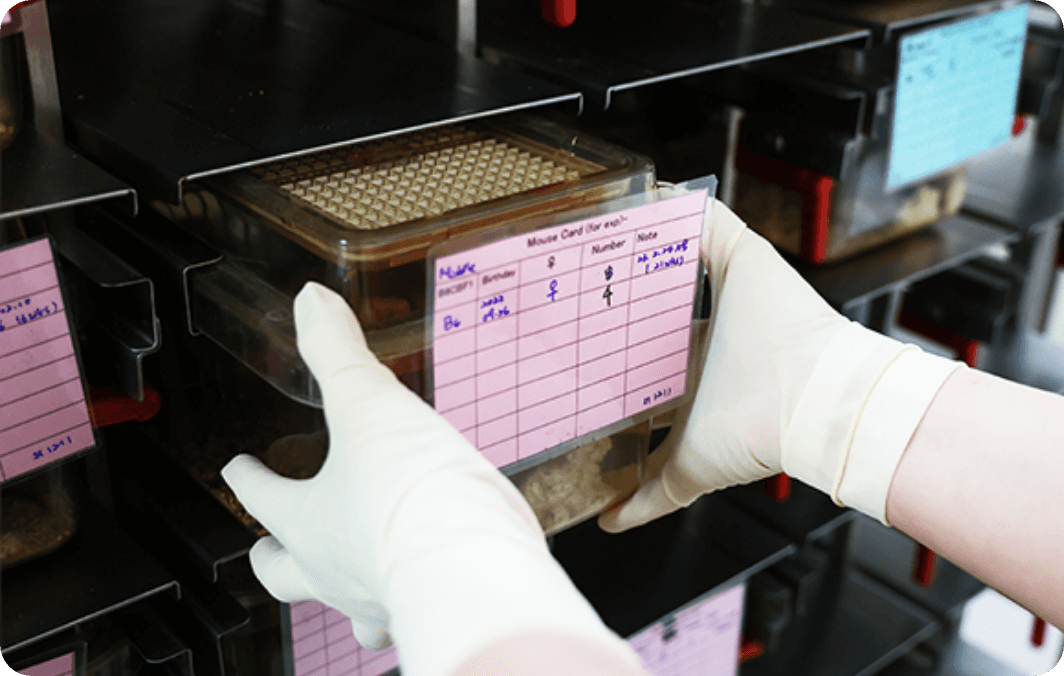 The Applications of Animal Research In ART