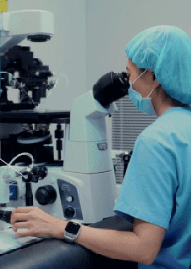 Spindle View Technology