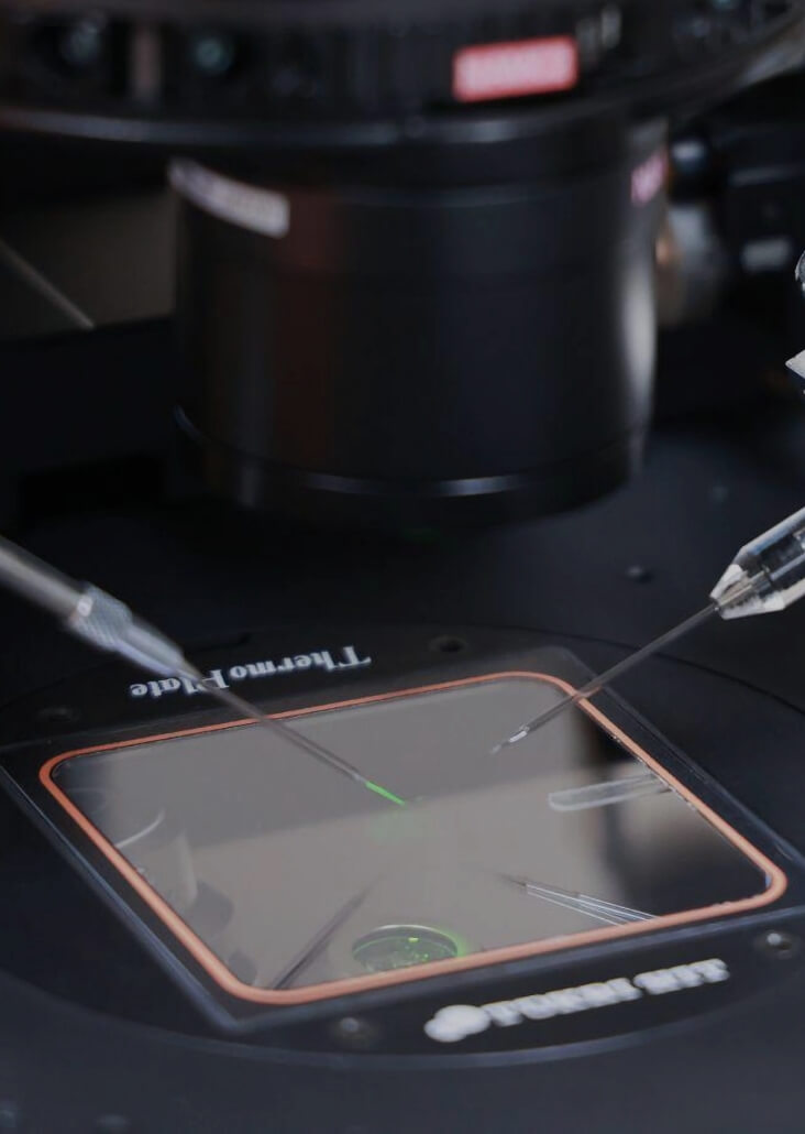 Piezo-ICSI (Piezo-Driven Intracytoplasmic Sperm Injection)