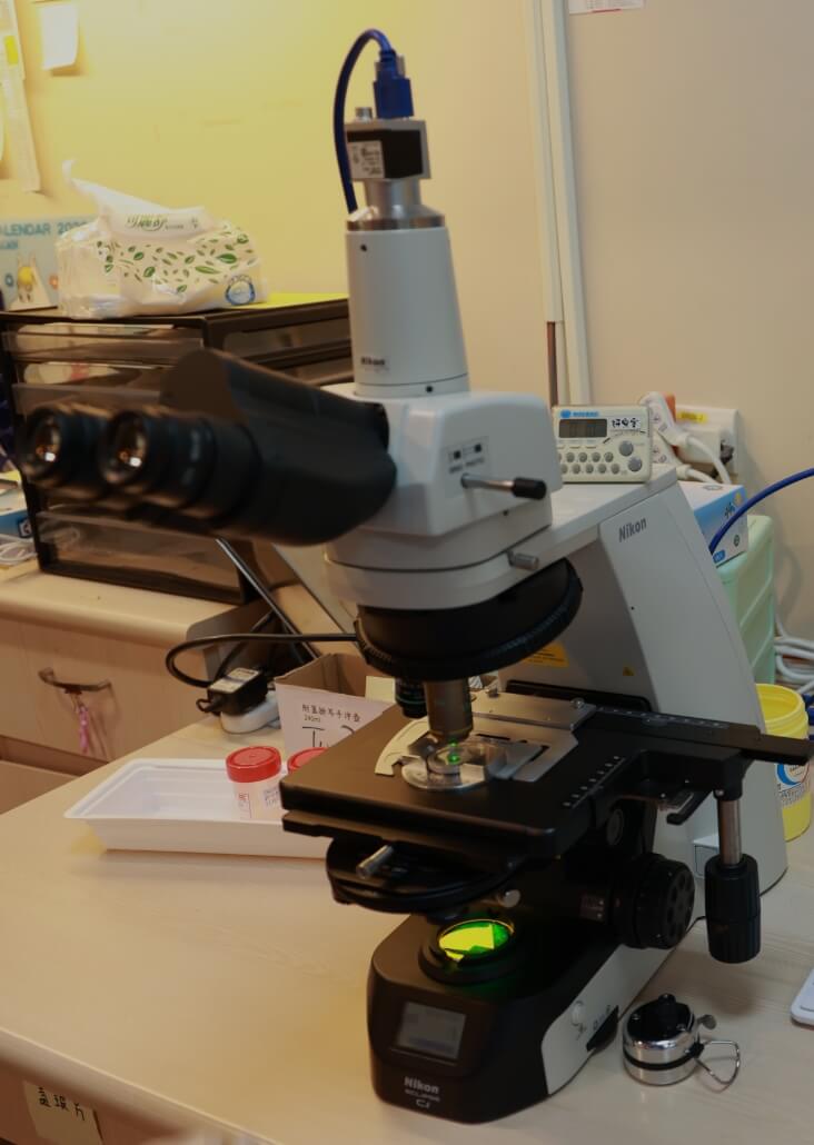 Male Reproductive Testing