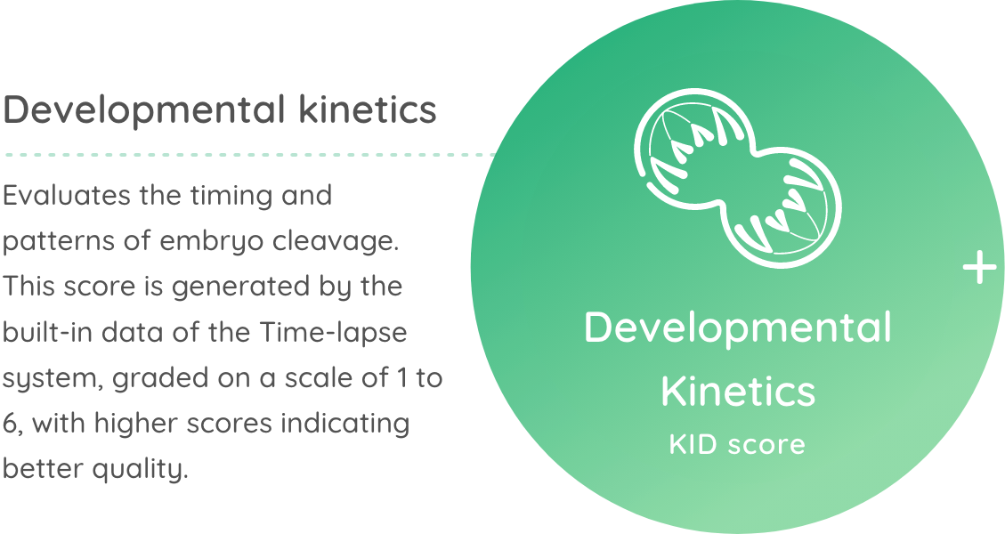 Developmental Kinetics KID score
