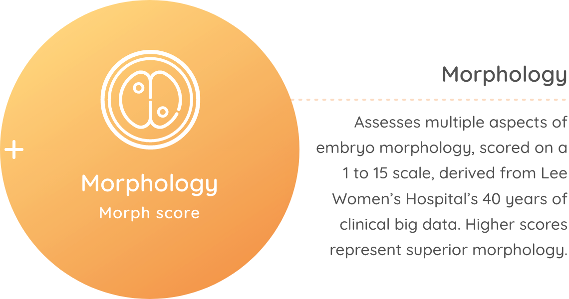 Morphology Morph score