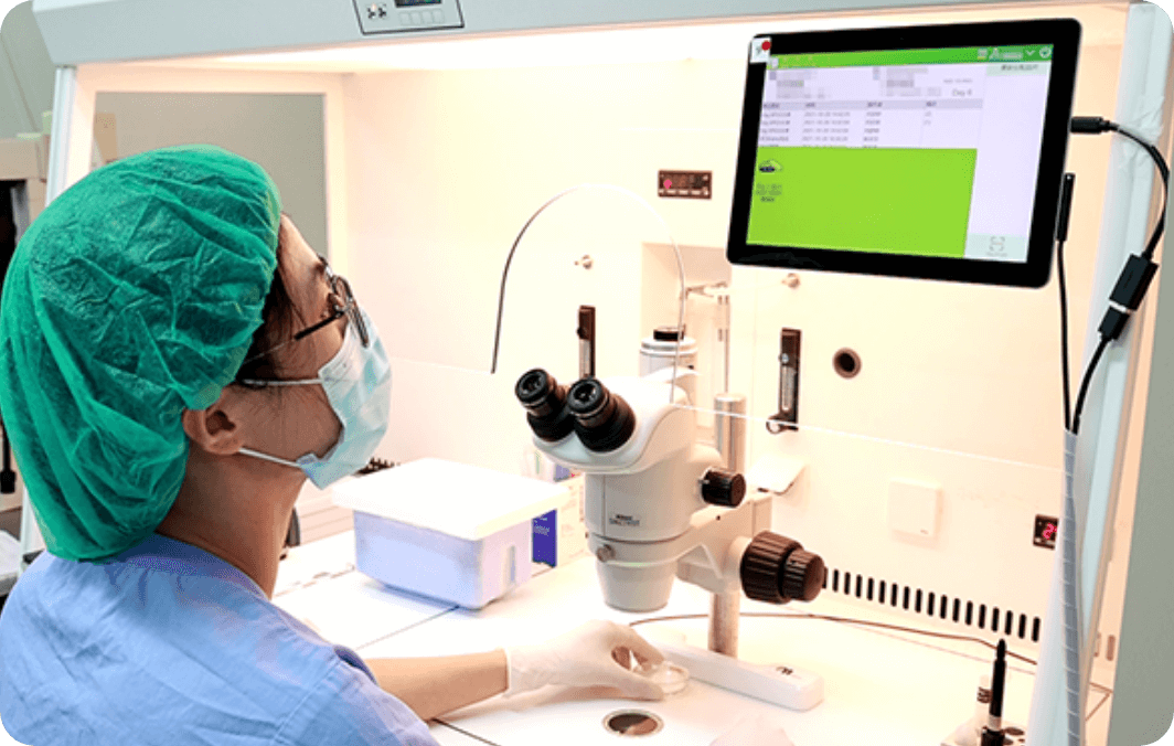 What is the Electronic Witness Verification System?