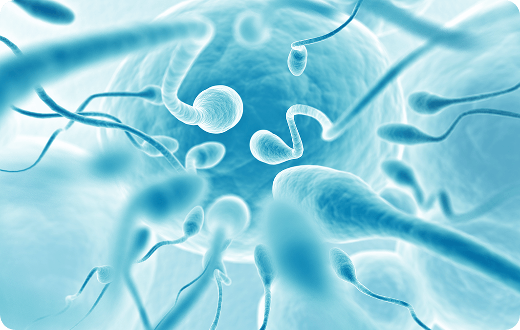 About 40% of infertility cases are related to male factors
