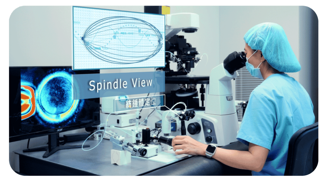 Spindle View
