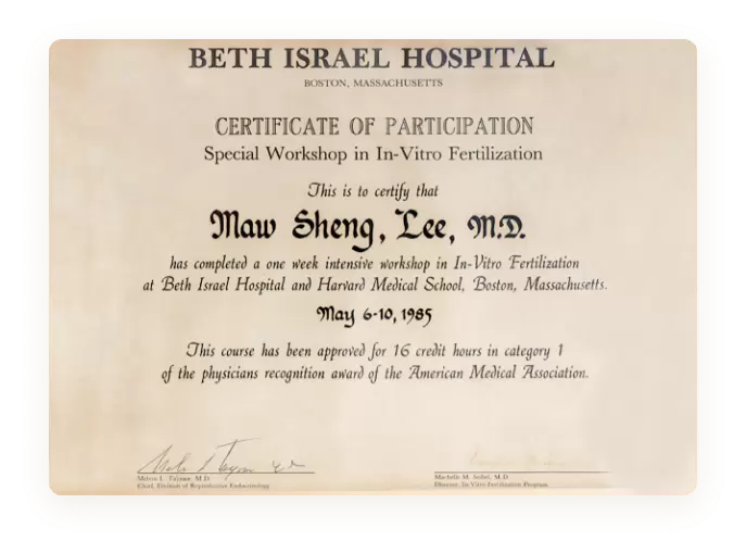 IVF work camp at Beth Israel Medical Center & Harvard University