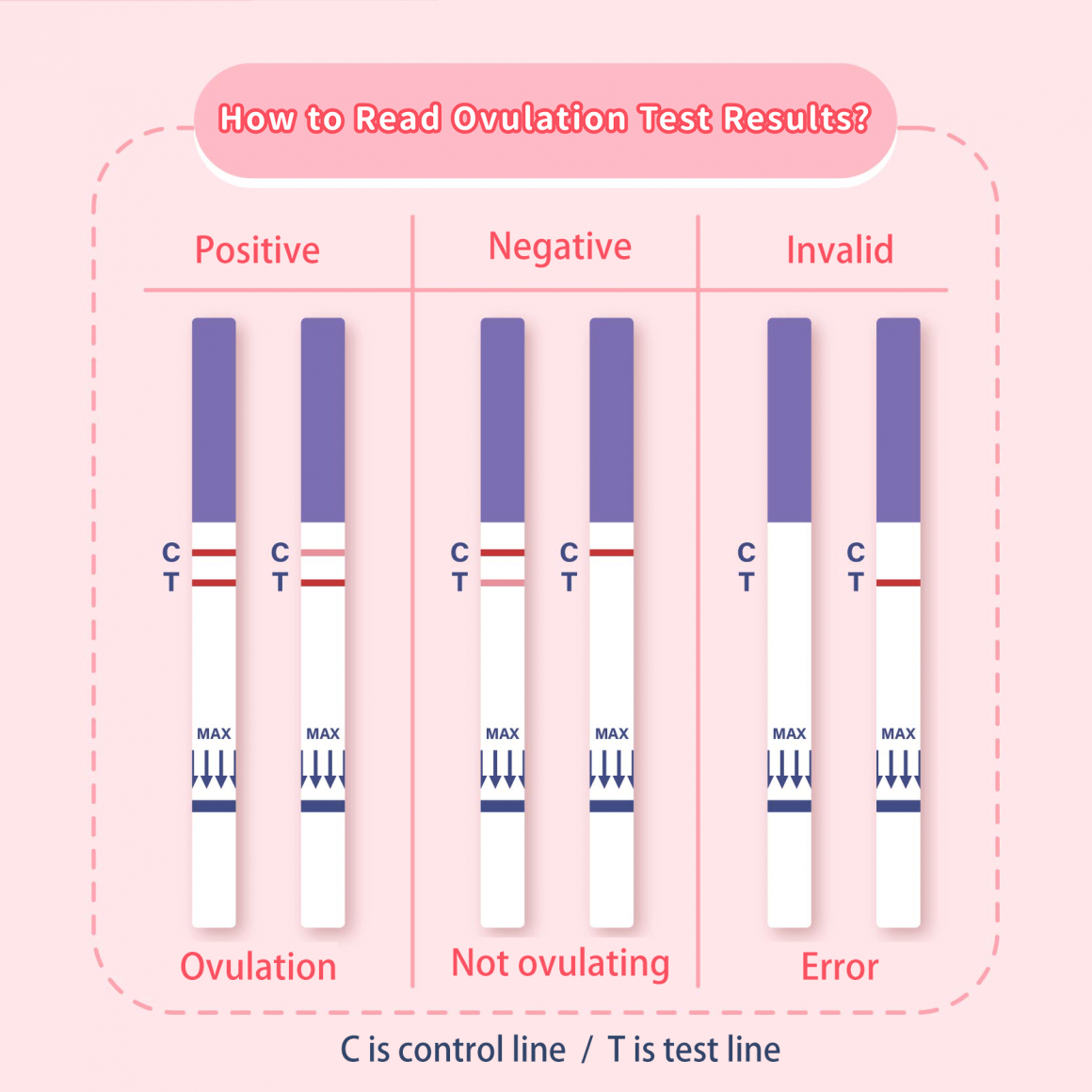 How to Read Ovulation Test Results? How to Read Ovulation Test Results?