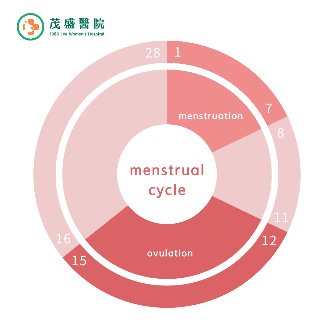 menstrual cycle chart menstrual cycle chart