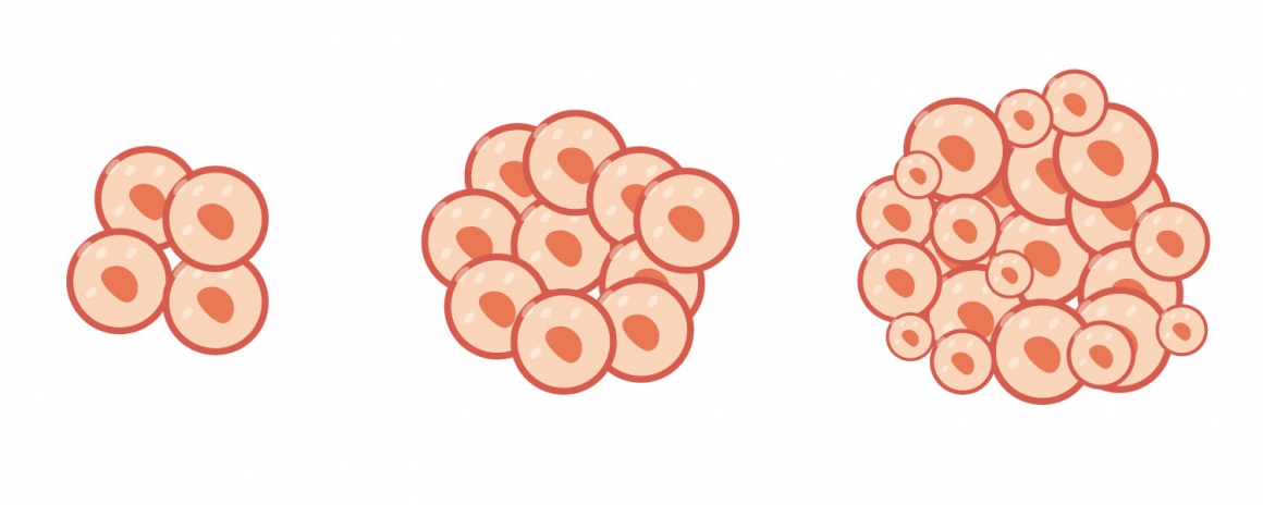 How does AMH level determine the ovarian reserve? How does AMH level determine the ovarian reserve?