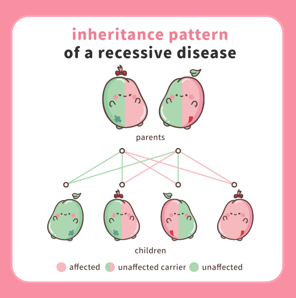Inheritance pattern of a recessive disease Inheritance pattern of a recessive disease