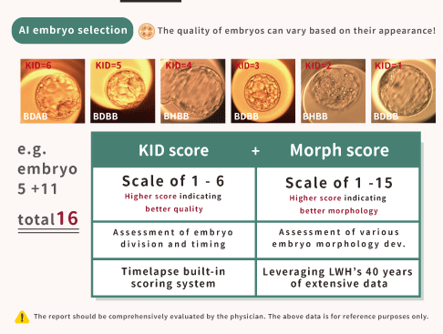 AI Embryo Selection Scoring