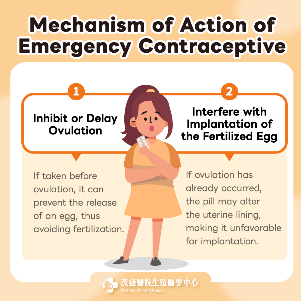 Mechanism of action of emergency contraceptive